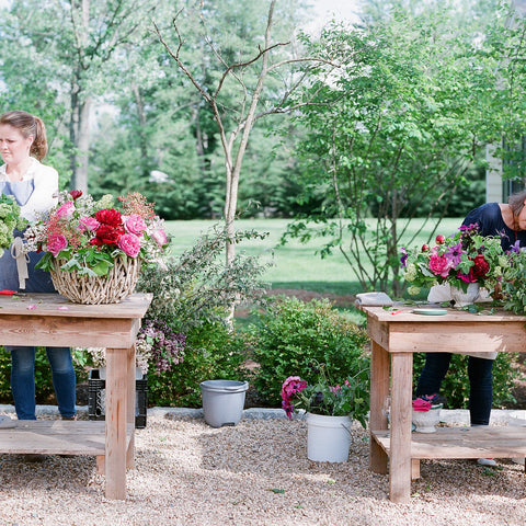 Two women gardening and potting plants