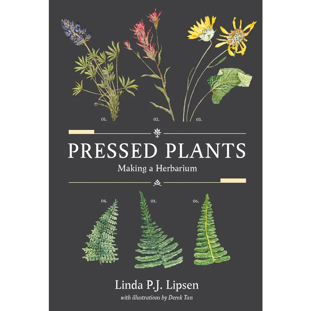 Book cover of 'Pressed Plants: Making a Herbarium' with illustrations of plants on a dark background.