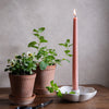 Two potted plants, a pink candle, and a white candle holder on a wooden surface with a gray background.