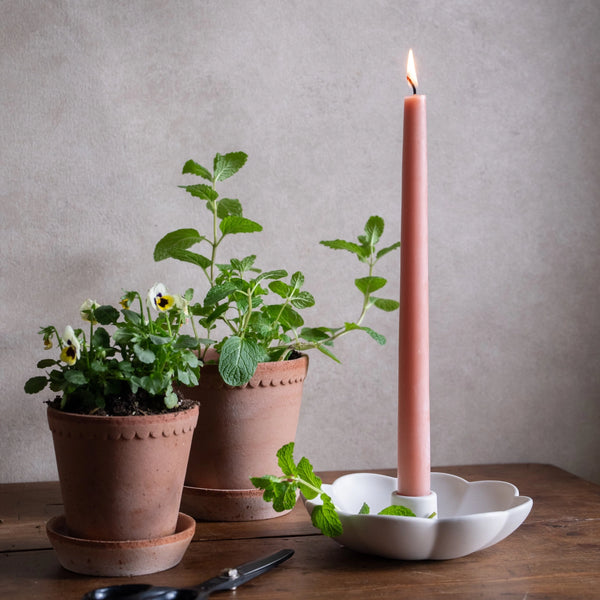 Two potted plants, a pink candle, and a white candle holder on a wooden surface with a gray background.