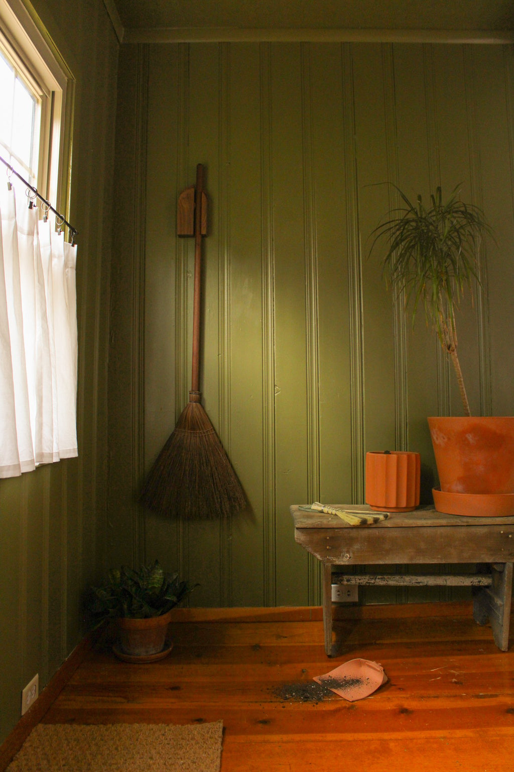 A green-colored room with a broom hanging on a wall hook, next to a potted plant, with wooden flooring and a window in the background.