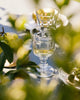 Clear glass goblet with white wine on a table with green grapes and leaves.