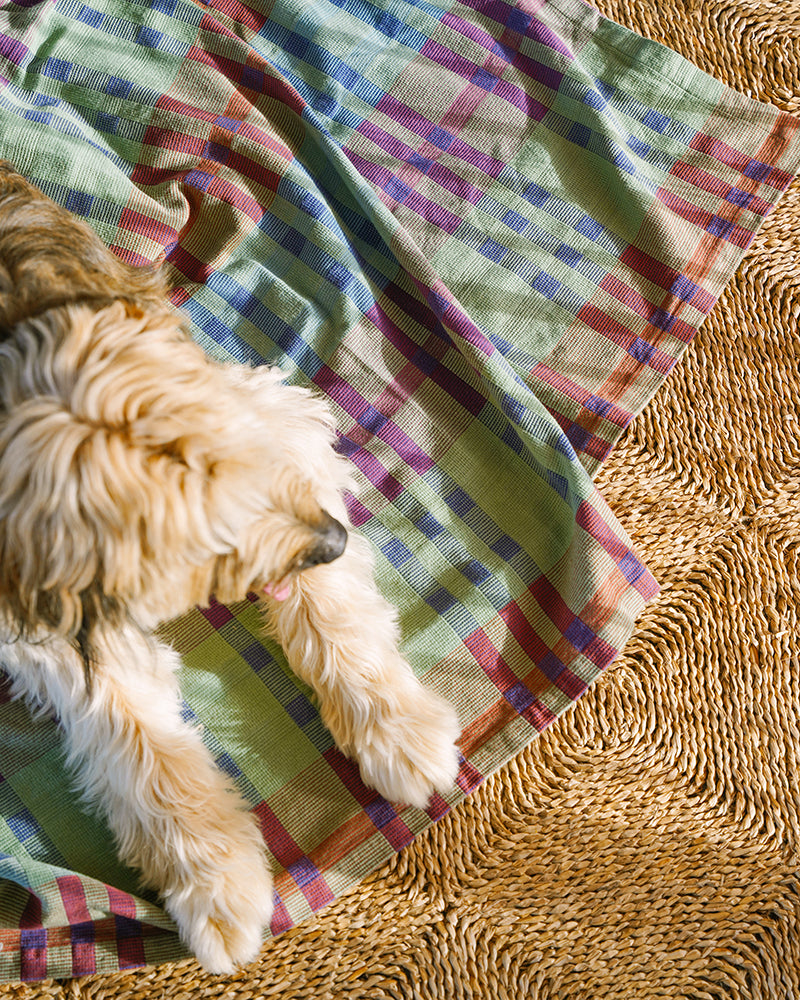 A dog laying on the Fido Dog Blanket