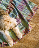 A dog laying on the Fido Dog Blanket