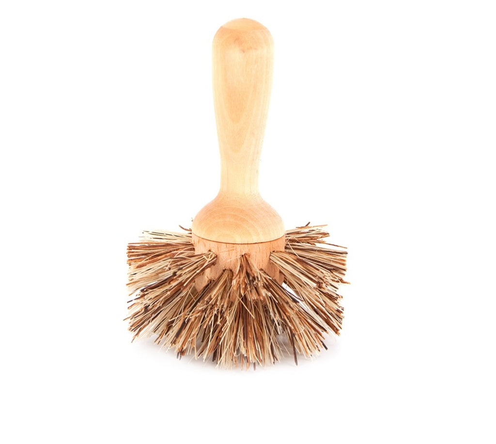 Dish brush with wooden handle and bristle head on a white background