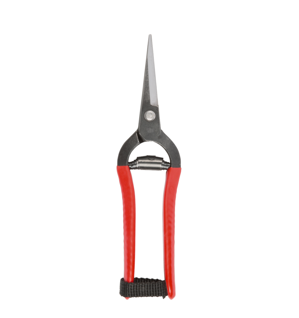 A pair of Niwaki forged snips with red rubber handles and silver stainless steel blades, isolated on a white background.