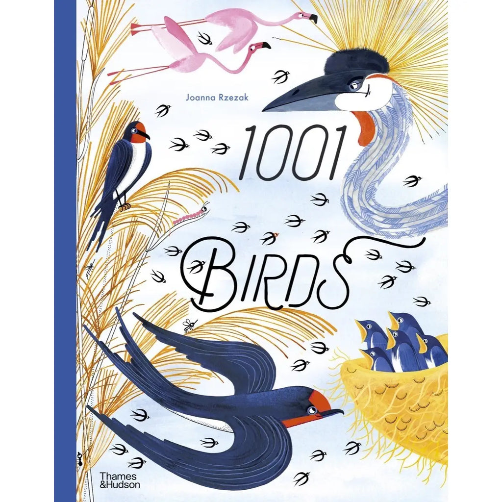Book cover of '1001 Birds' with illustrations of various birds and a blue border.