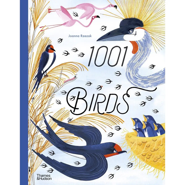 Book cover of '1001 Birds' with illustrations of various birds and a blue border.