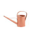 A galvanized steel watering can