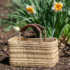 Woven basket with brown handles on a garden background with daffodils.