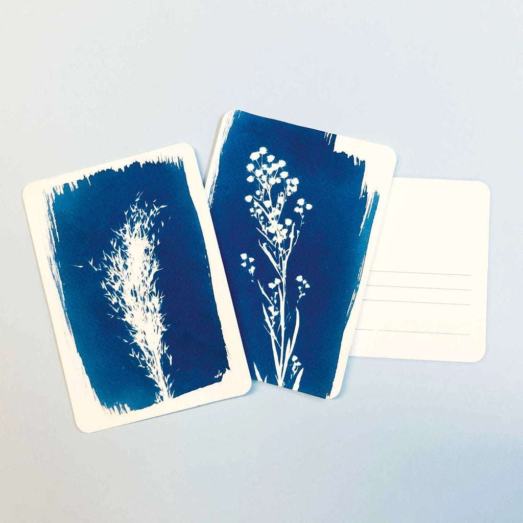 Two cyanotype prints of plants on a light gray background