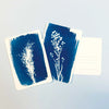 Two cyanotype prints of plants on a light gray background