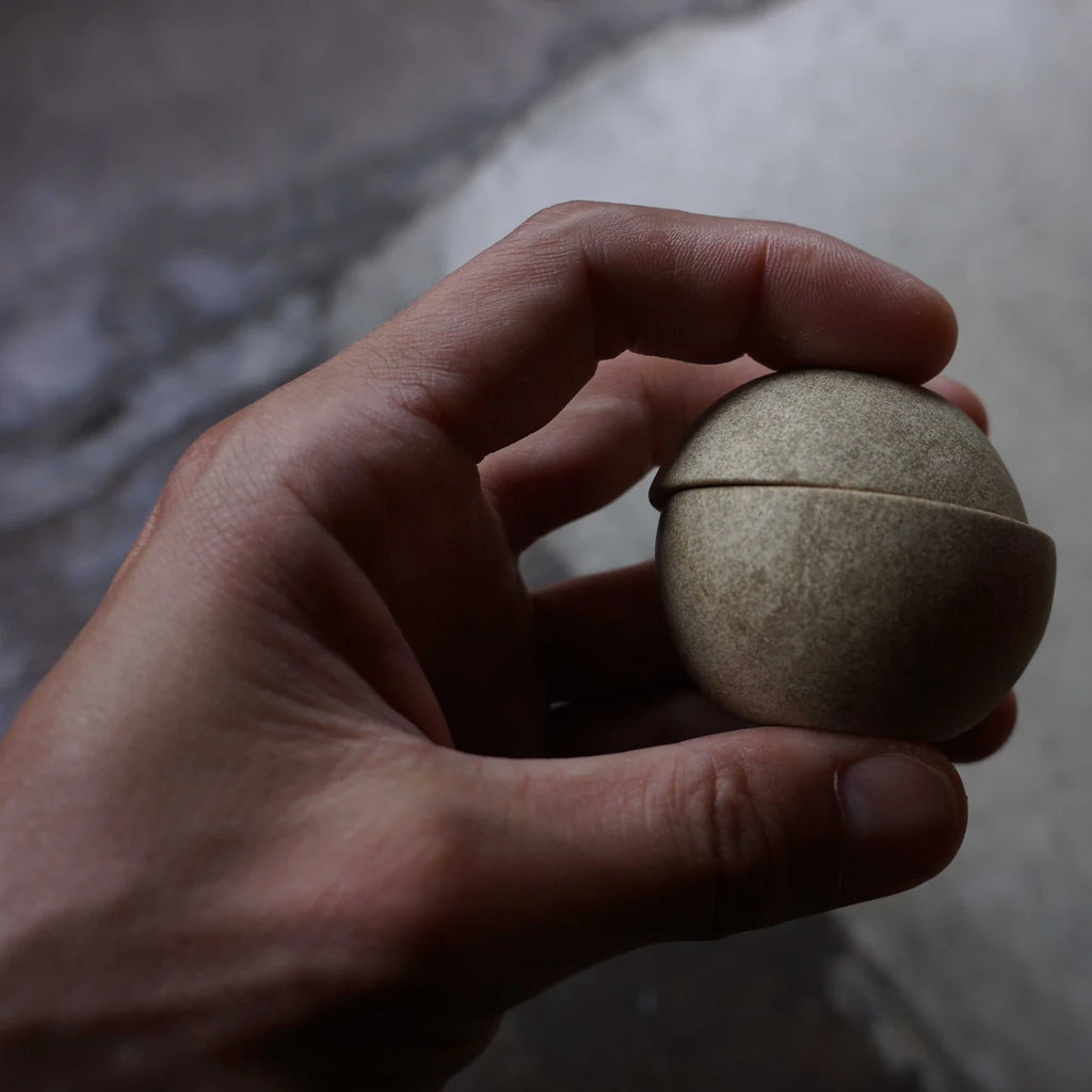 Hand holding a round, beige stone against a blurred background