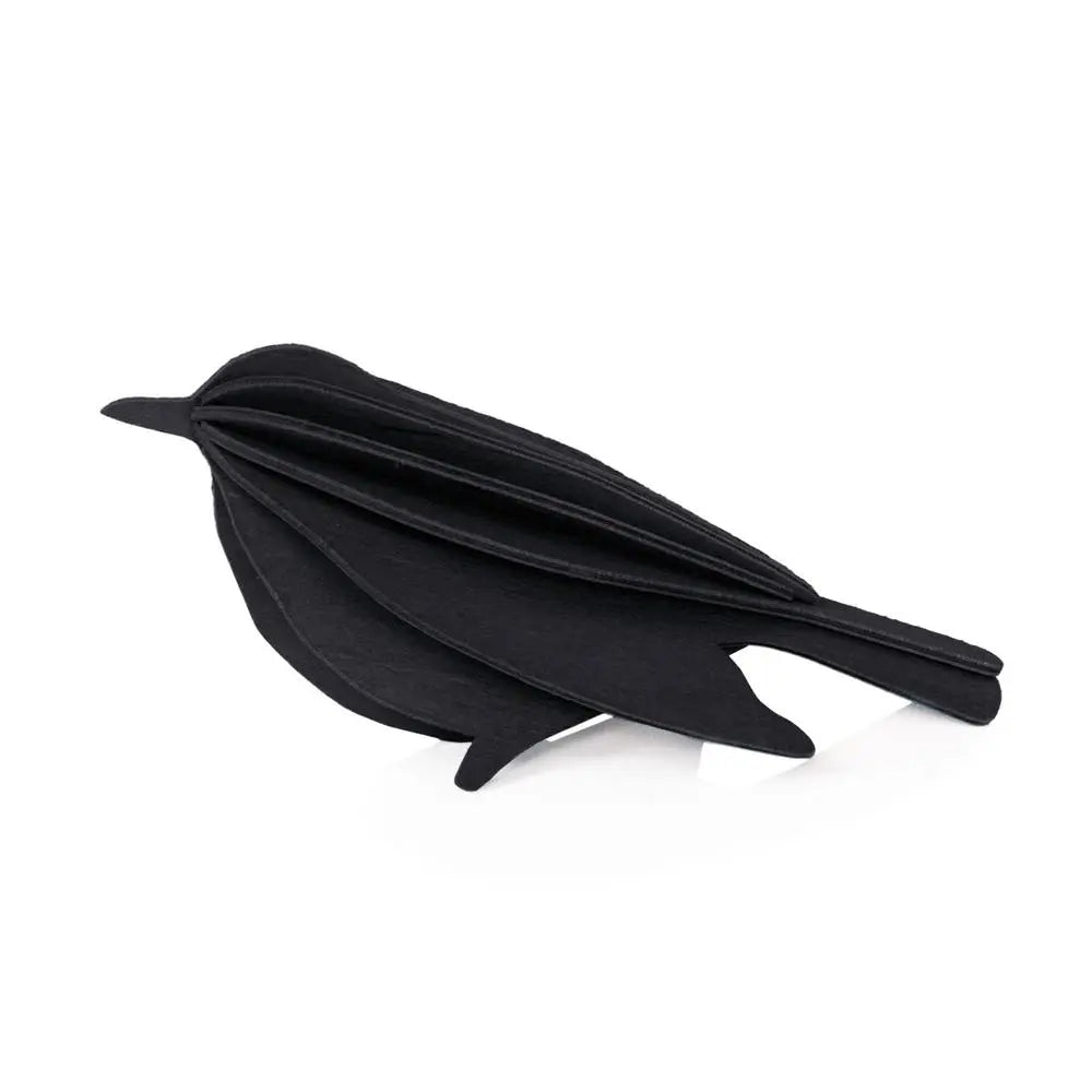 lovi bird black