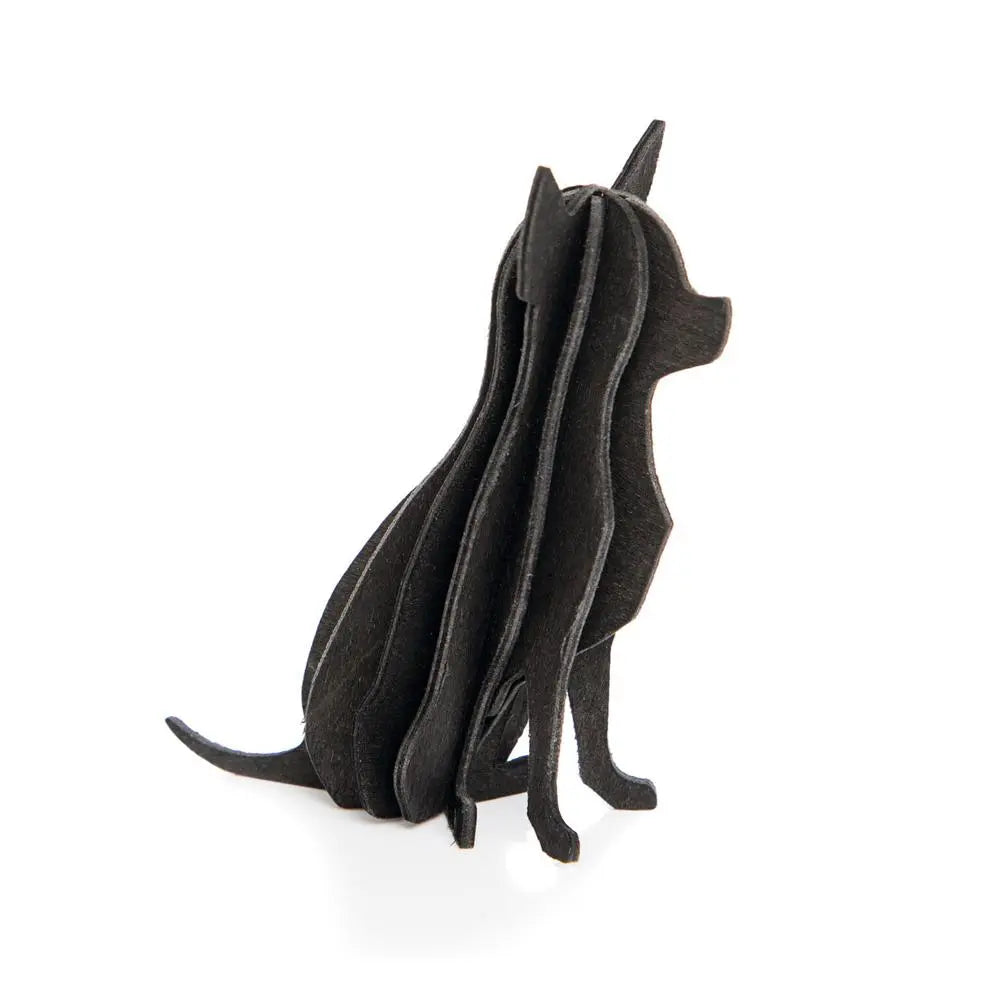lovi chihuahua black