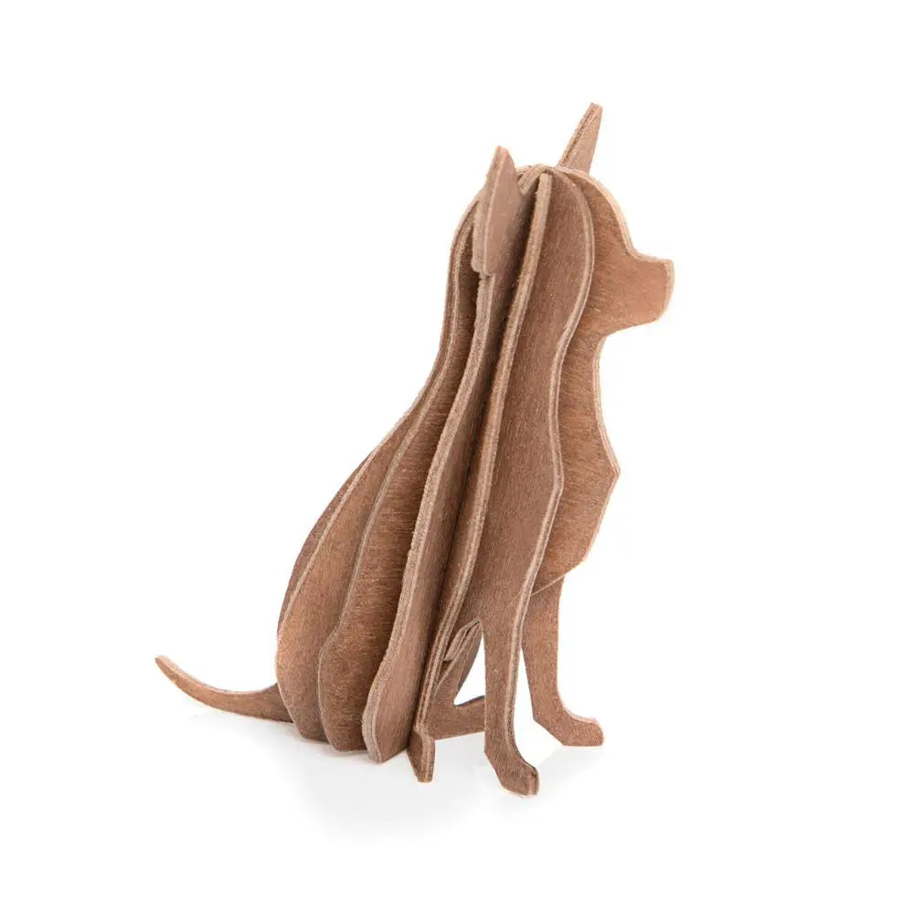 lovi chihuahua brown