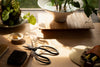 Scissors on a wooden surface with plants and other items in the background