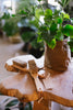 redecker brush - gardening tool brush - redecker - garden tool