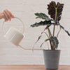A white stainless steel watering can