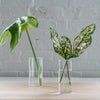 unique glass vase - flower vase - glass stem vase - glass vase 