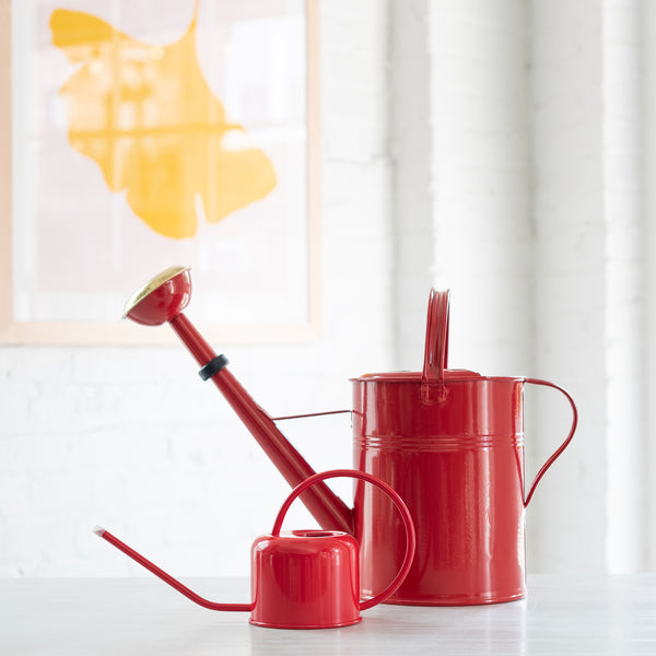 A red stainless steel watering can with a long spout and a smaller metal watering can, placed on a white surface with a blurred background.
